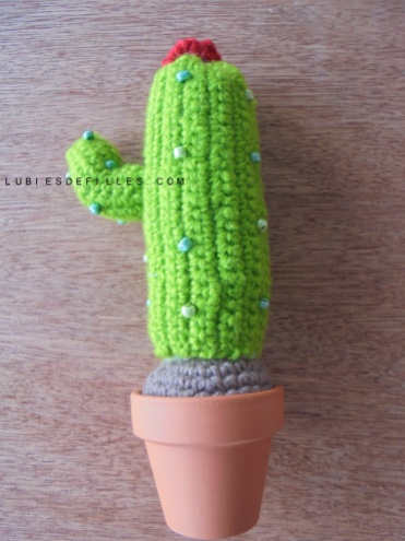 Cactus en crochet7