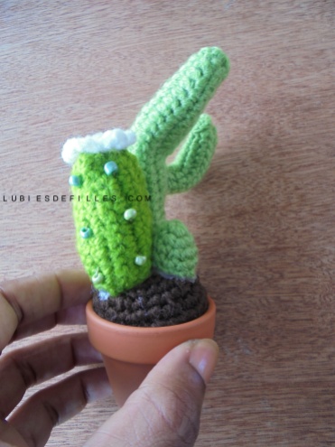 Cactus en crochet8
